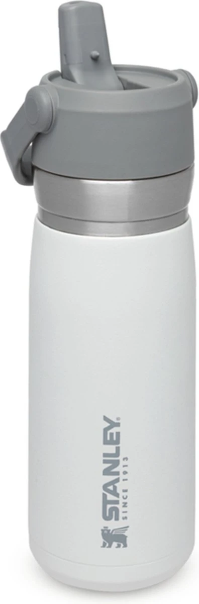 Stanley The IceFlow™ Flip Straw Water Bottle 0,65L - Thermosfles - Saffron - Afbeelding 16